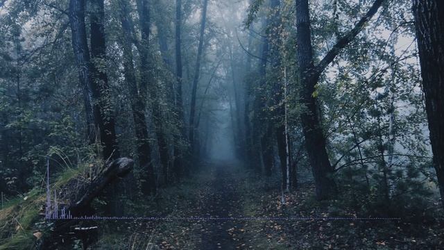 CAROUSEL - Frozen смотреть онлайн