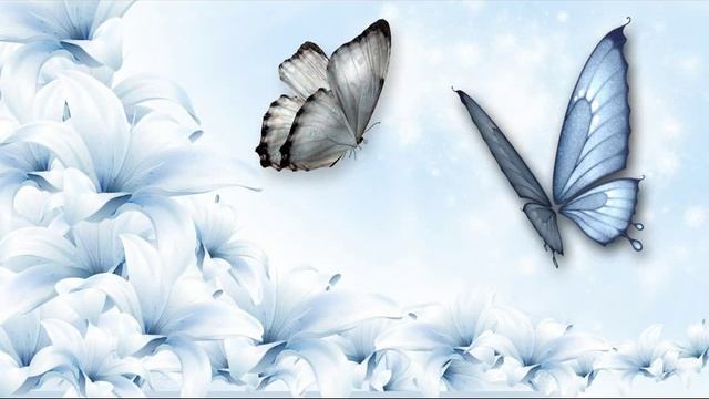 01 Dream of Butterfly смотреть онлайн