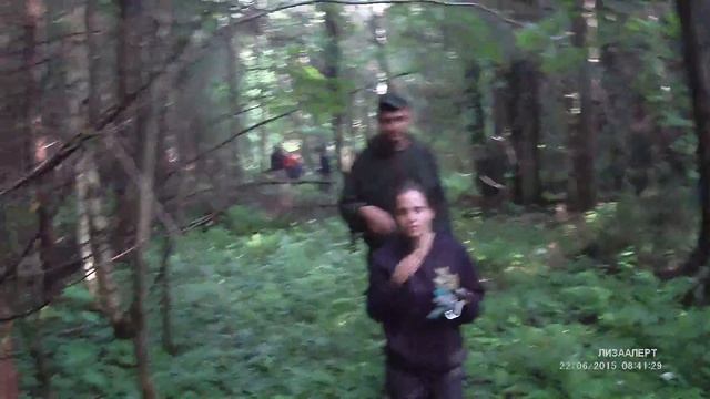 Ищем пепелац в лесу смотреть онлайн