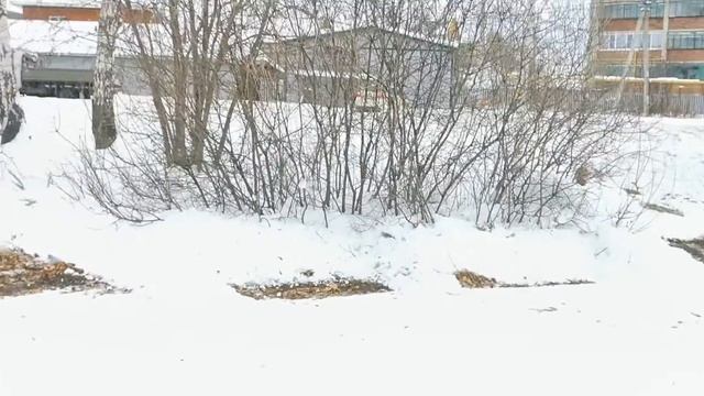 Honda Odyssey /Хонда Одиссей RA3 1999 год, 1-ое поколение, продажа смотреть онлайн