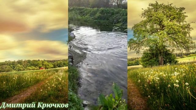 #Рыбалка #Станица_Чернореченская #Эко_Отдых Малышева Андрея Николаевича Форелевое хозяйство #Кубань смотреть онлайн