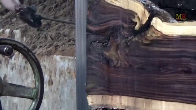 Bahaya !! kayu sultan senilai 2Miliar jatuh ketangan blandong ilegal смотреть онлайн