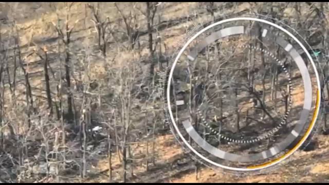 НЕБА НЕ ВИДЕЛ