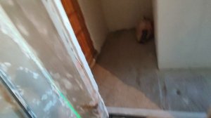 Как нужно устанавливать маяки на стену в месте, где будет дверь или проём