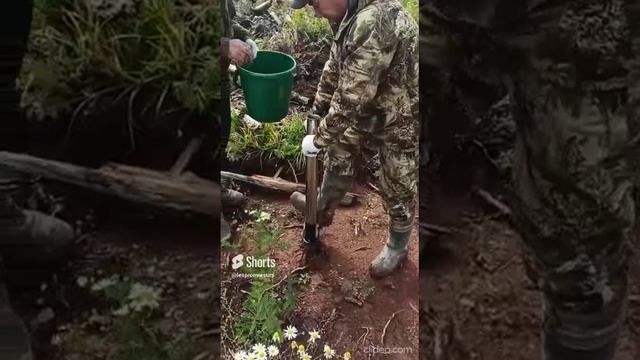 Посадка леса в глинистую почву лесопосадочной трубой производства ООО НПО Леспромресурс (г.Киров) смотреть онлайн