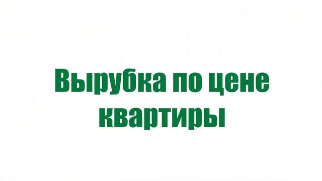 Молодой Зелёный. №7 19.09.21 смотреть онлайн