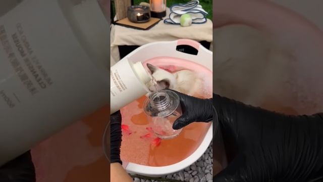 01-01-2024 смотреть онлайн