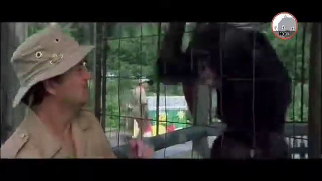 Немного о том как выбрать тематику на Ютюб смотреть онлайн