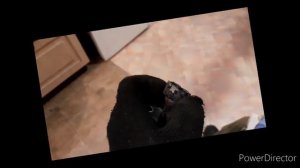 Нет запуска Toyota Probox 2003 1NZ-FE. Решено.