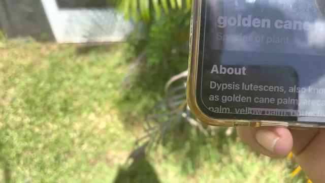 IOS 16 Plant Identifier (Identify Plants, Animals, Insects and more) смотреть онлайн