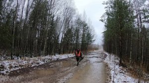 КВО-4. Загонная охота на лося. Проверка охот инспекцией. Лужский район ЛО. Ноябрь 2019г..mp4