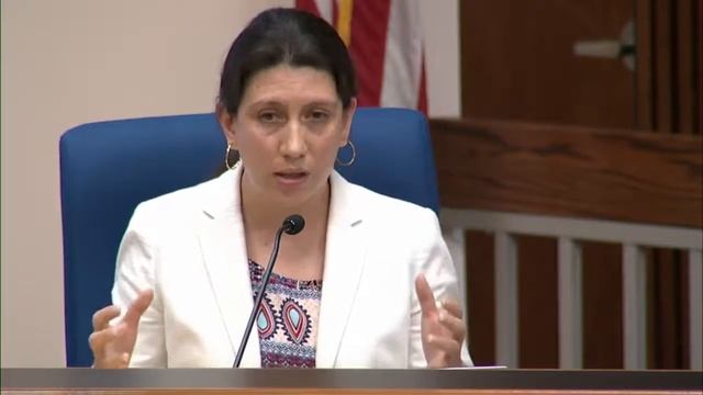 School Board Meeting August 17, 2017 CC смотреть онлайн