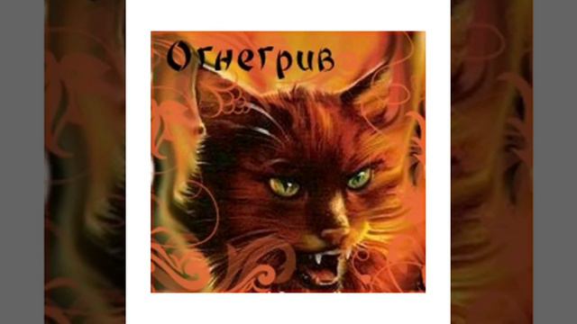 Коты Воители.Мое первое видео