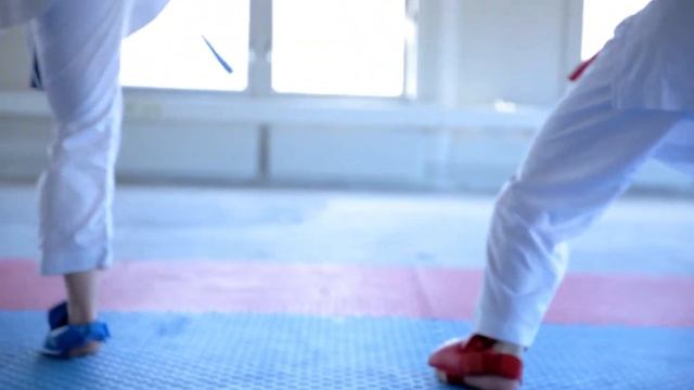 Karate - Andrine Hilton mot OL i Tokyo 2020 смотреть онлайн