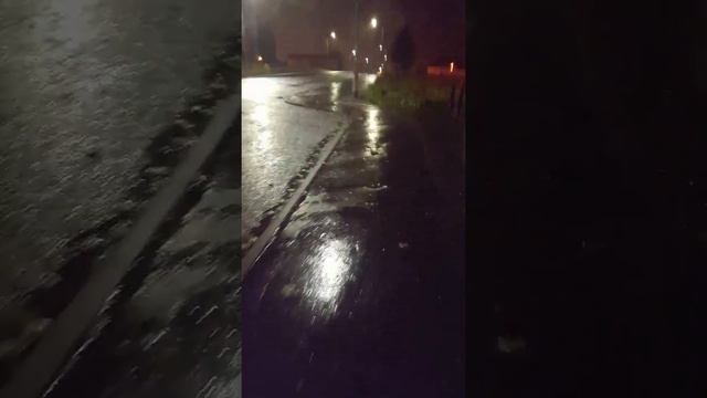 Having a walk at midnight смотреть онлайн