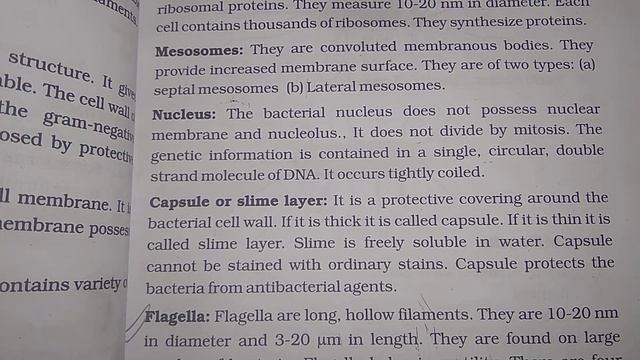 Morphology Of Bacteria, Microbiology, Gnm,B.sc (1st year) смотреть онлайн