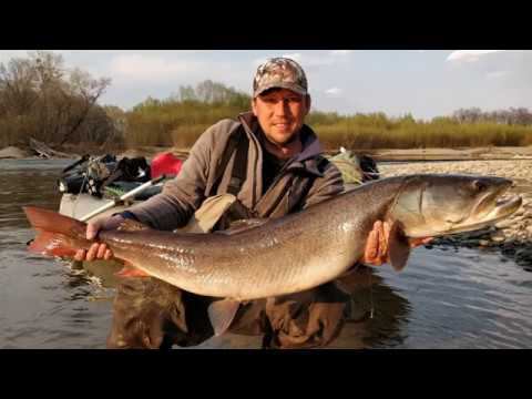 на озере рыбачим с чемпионом! смотреть онлайн
