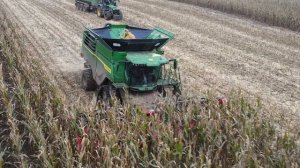 JOHN DEERE X9 1100 at WORK in Germany ! CORN HARVEST 2021