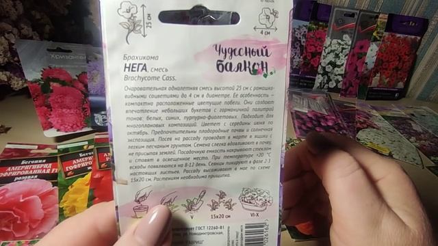 Семена цветов на 2022 год.Что буду сеять в январе. смотреть онлайн
