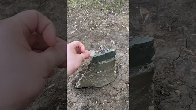 Самый маленький #памятник в мире ? #уфа памятник Клещу #самыймаленький смотреть онлайн