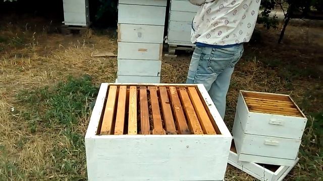 Карника тройзек 1075.Кружка пчелы-ведро мёда. смотреть онлайн