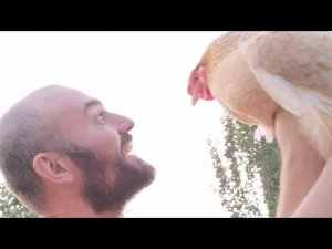Первый Стрим В птичьем царстве