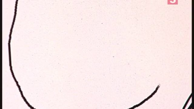 Дневник наблюдений. «Правда жизни» смотреть онлайн