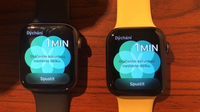 Apple Watch 4 VS Apple Watch 6 Speed Test