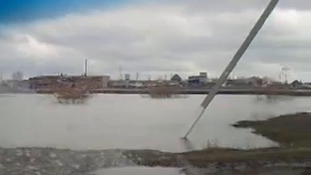 Подлесное смотреть онлайн