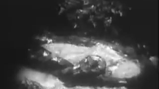 Python Vs Crocodile. Python Destroys Crocodile. смотреть онлайн