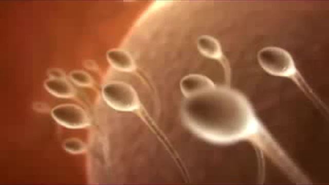Как рождаются настоящие мужчины! смотреть онлайн