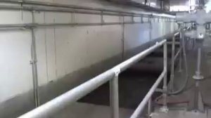 Sewage Treatment Plant