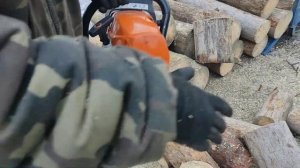 Бензопила  Stihl MS 462 и распил дерева на дрова / Chainsaw Stihl MS 462 cut firewood