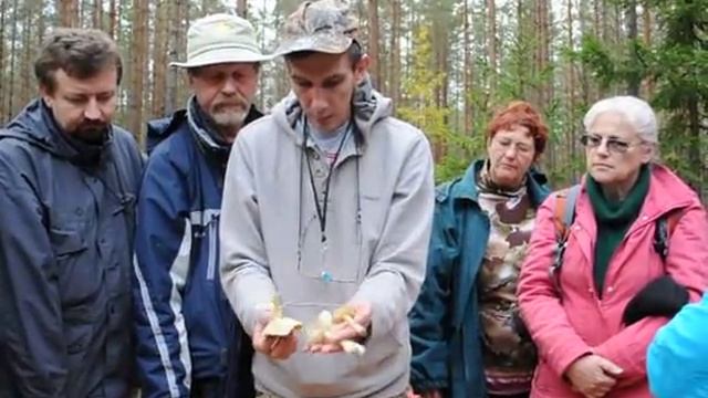 Рядовка знойная