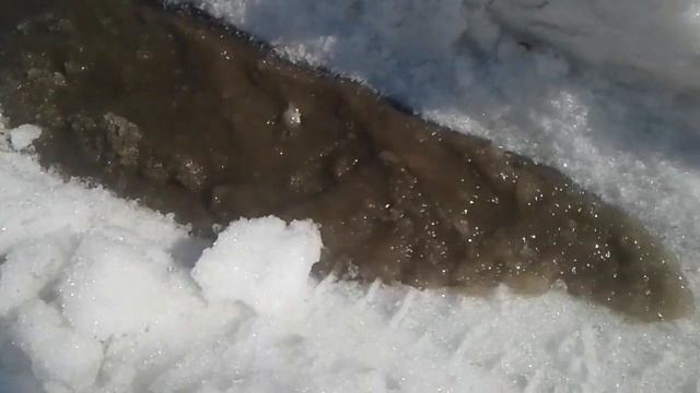Жизнь на даче.Первые ручьи.Западная Сибирь. смотреть онлайн