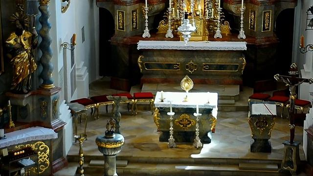 Livestream Von Markus Lettner