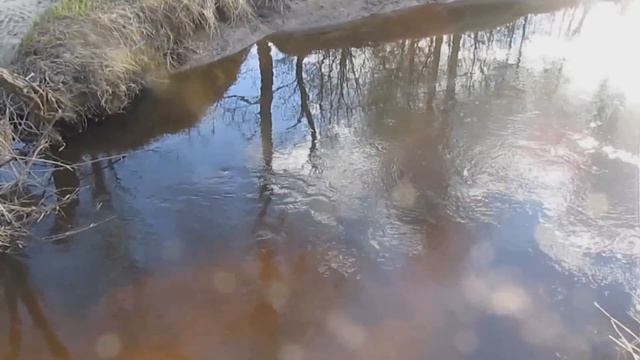 Стоянки щуки на малой реке(микро-речке) смотреть онлайн