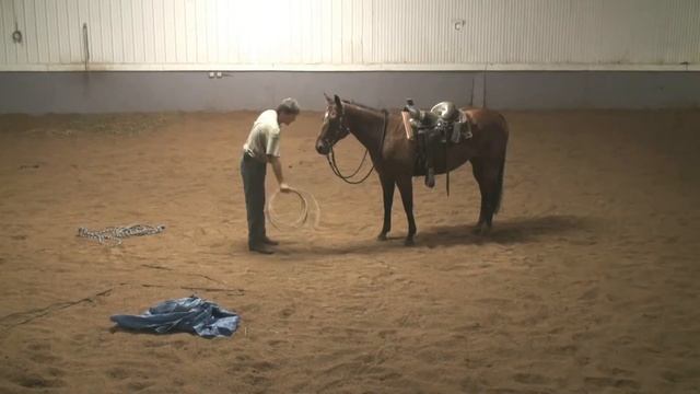 Horse Trainer, Kevin Spaeth Horsemanship Client Testimonial смотреть онлайн