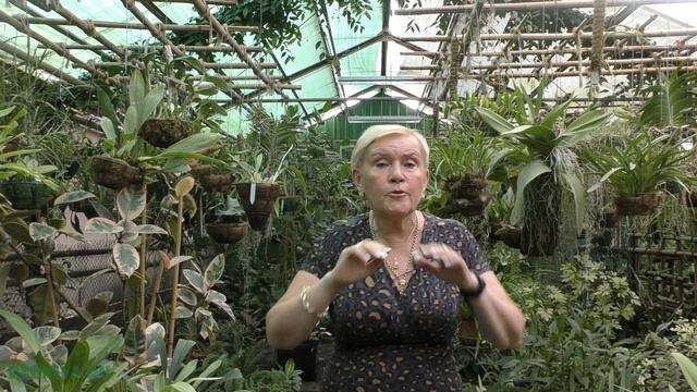 Обустройство теплицы. Часть 3 смотреть онлайн