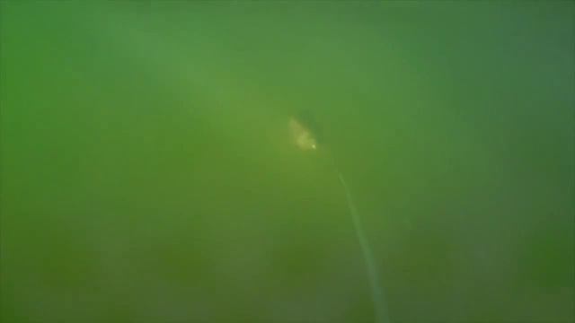 Воблер SAVAGEAR 3D Line Thru Trout смотреть онлайн