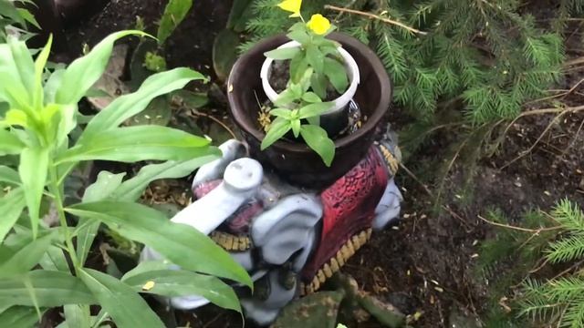 Обзор дворика в Геническе! Зелёный райский уголок на Азовском море