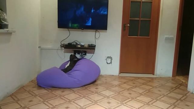 Раздражает телевизор смотреть онлайн
