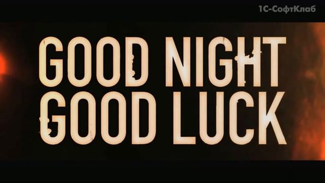 Красавицы-кошки