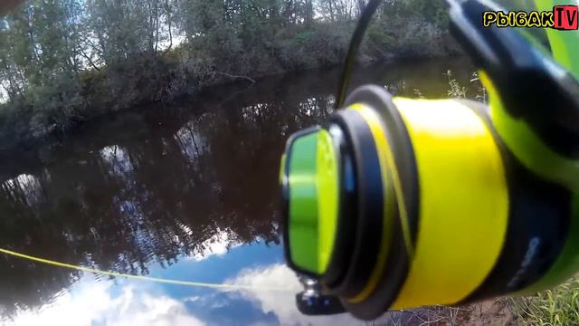 Путешествия на моторе