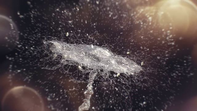 Doner Kebab. SOCAR смотреть онлайн