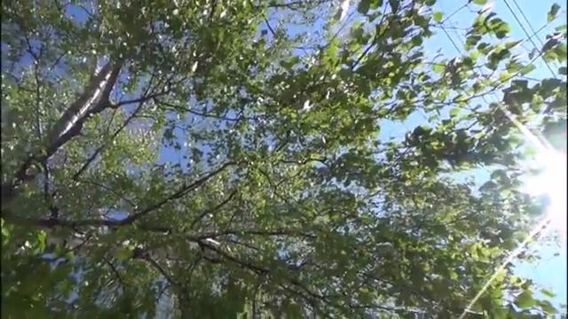 Майское утро в городе Дзержинске - Песни под гитару - Алексей Доктор Леший - бард смотреть онлайн