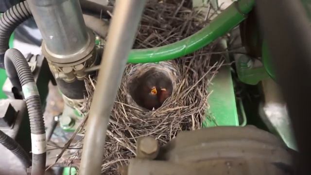 Ласточки прилетели-ласточки в тракторе смотреть онлайн