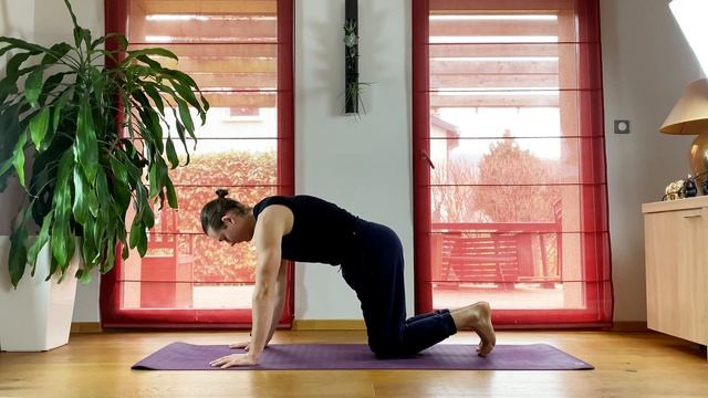 FYSM Zero | Пробная практика смотреть онлайн