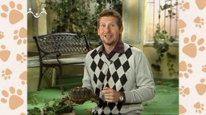 Лапы, крылья и хвосты. 37-й Выпуск. Про огонь