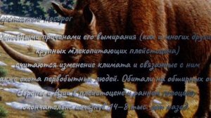 | Звуки, которые издавали вымершие животные🌿.Подборка |